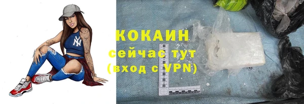 ГАЛЛЮЦИНОГЕННЫЕ ГРИБЫ Аша