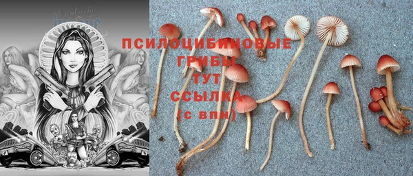 герыч Алексеевка